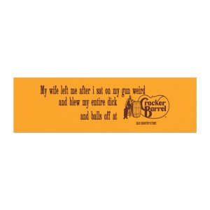 My Wife Left Me After I Sat On My Gun Weird Car Magnet