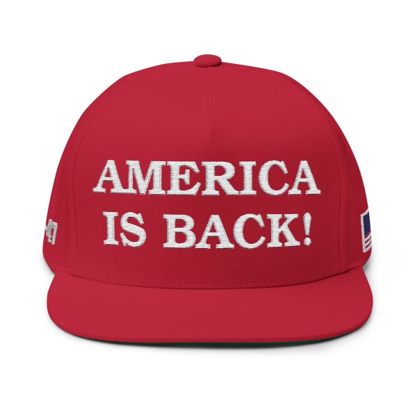 America Is Back Hat – Patriotic Red Cap Inspired by Trump & Mike Johnson