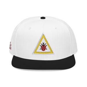 Noah Kahan Ladybug Hat