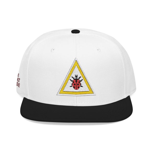 Noah Kahan Ladybug Hat