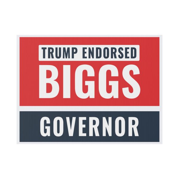 Andy Biggs for Governor Yard Sign
