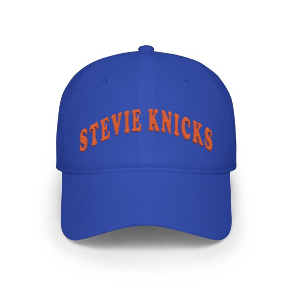Taylor Swift Stevie Knicks Hat